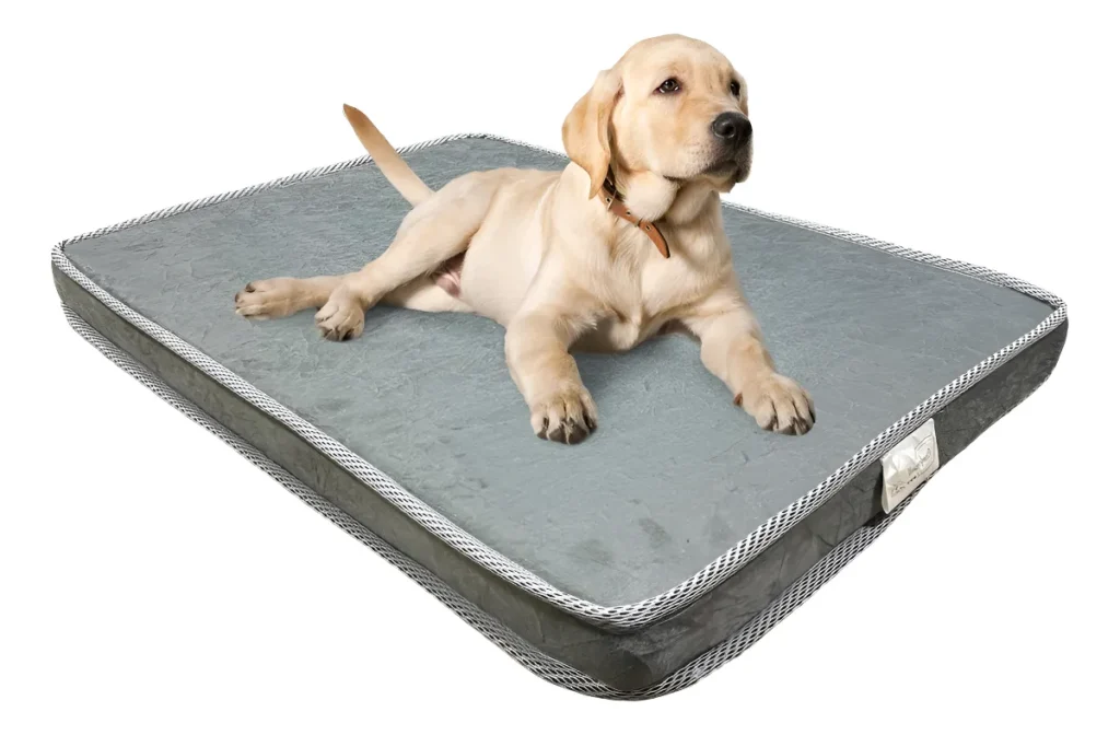 As 10 melhores cama para pet, mais avaliadas do mercado. 11 as 10 melhores cama para pet