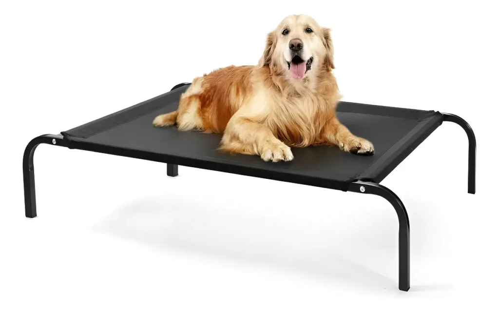 As 10 melhores cama para pet, mais avaliadas do mercado. 5 as 10 melhores cama para pet