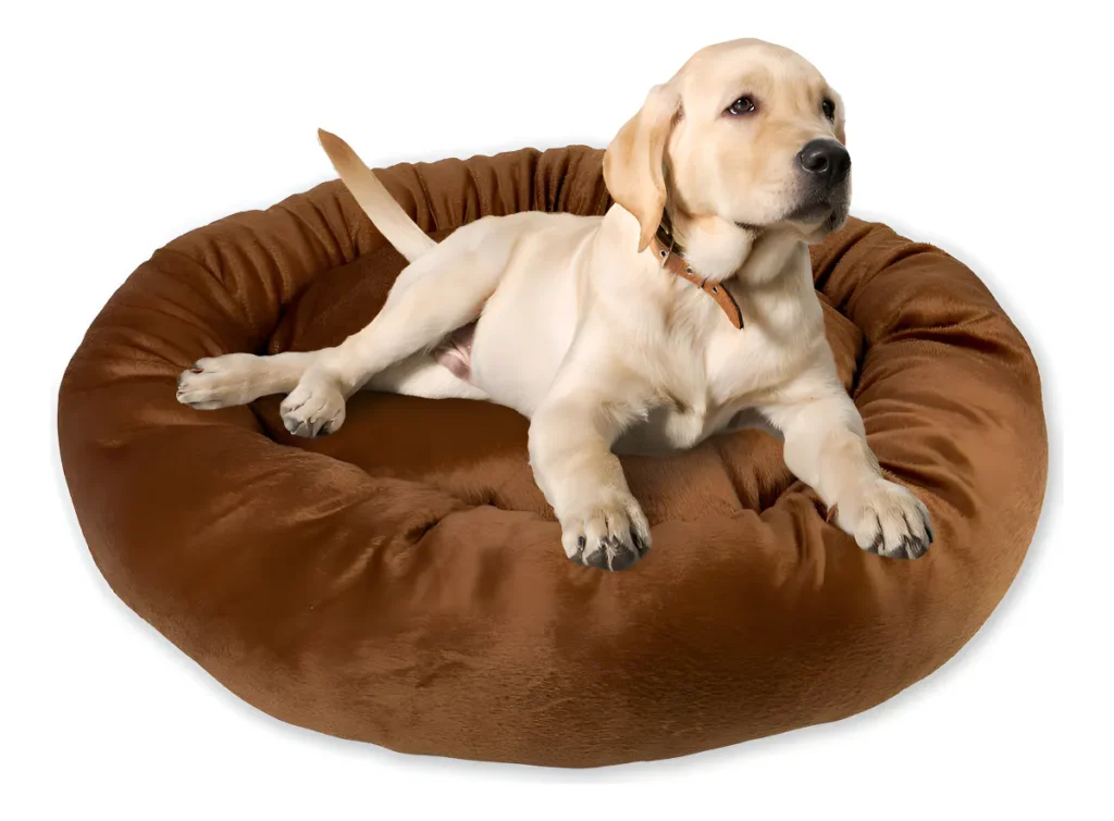 As 10 melhores cama para pet, mais avaliadas do mercado. 7 as 10 melhores cama para pet
