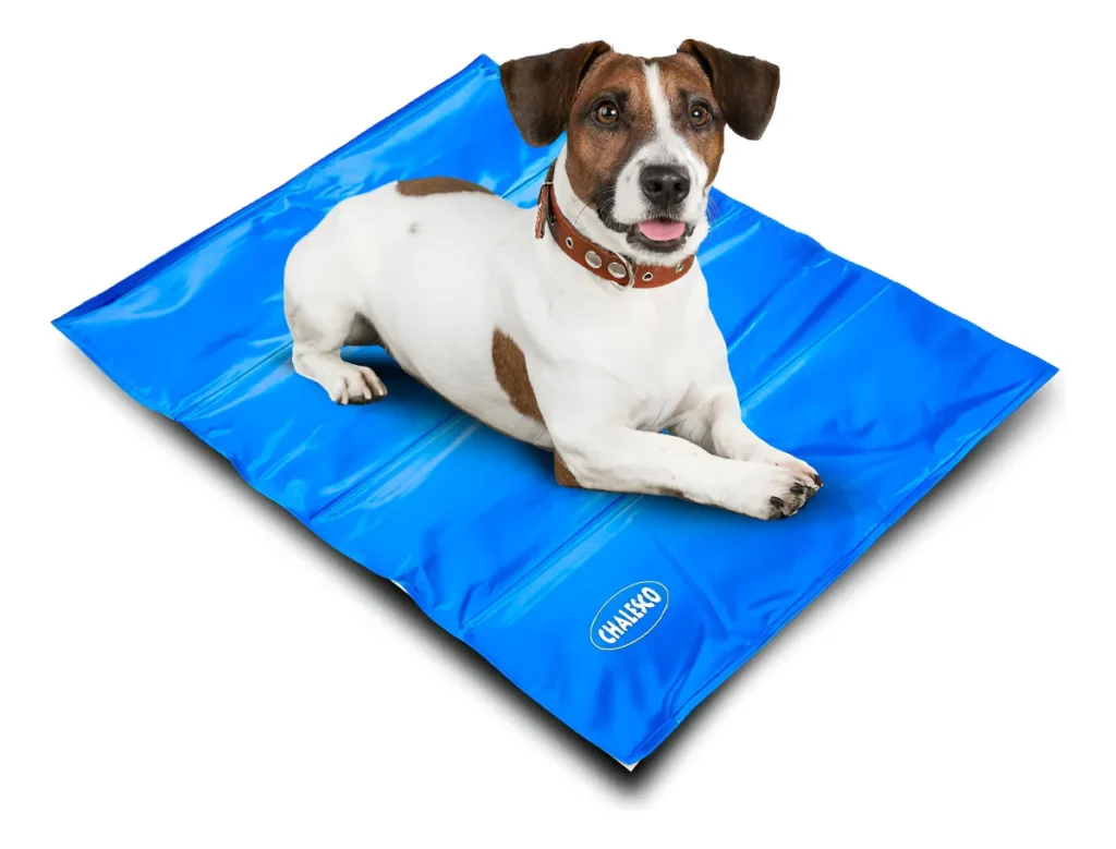 As 10 melhores cama para pet, mais avaliadas do mercado. 10 as 10 melhores cama para pet