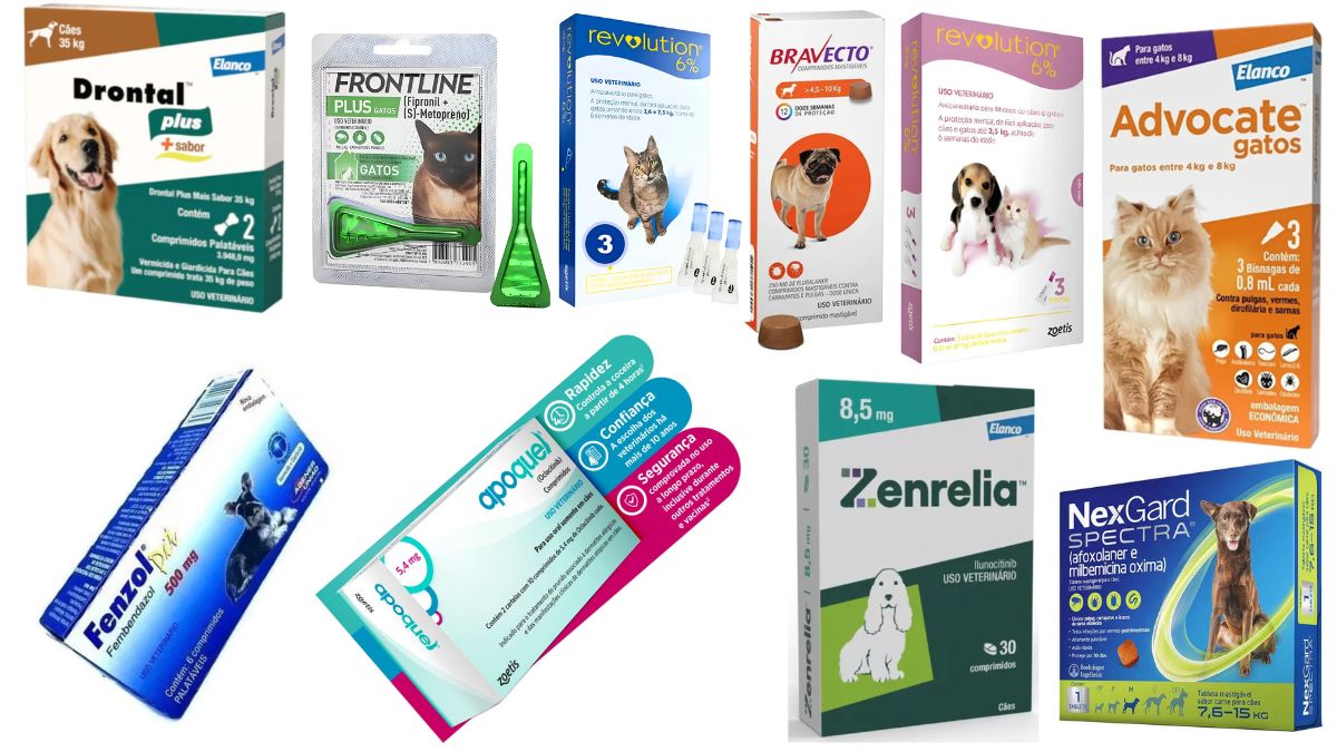 as 10 melhores antipulgas para pets