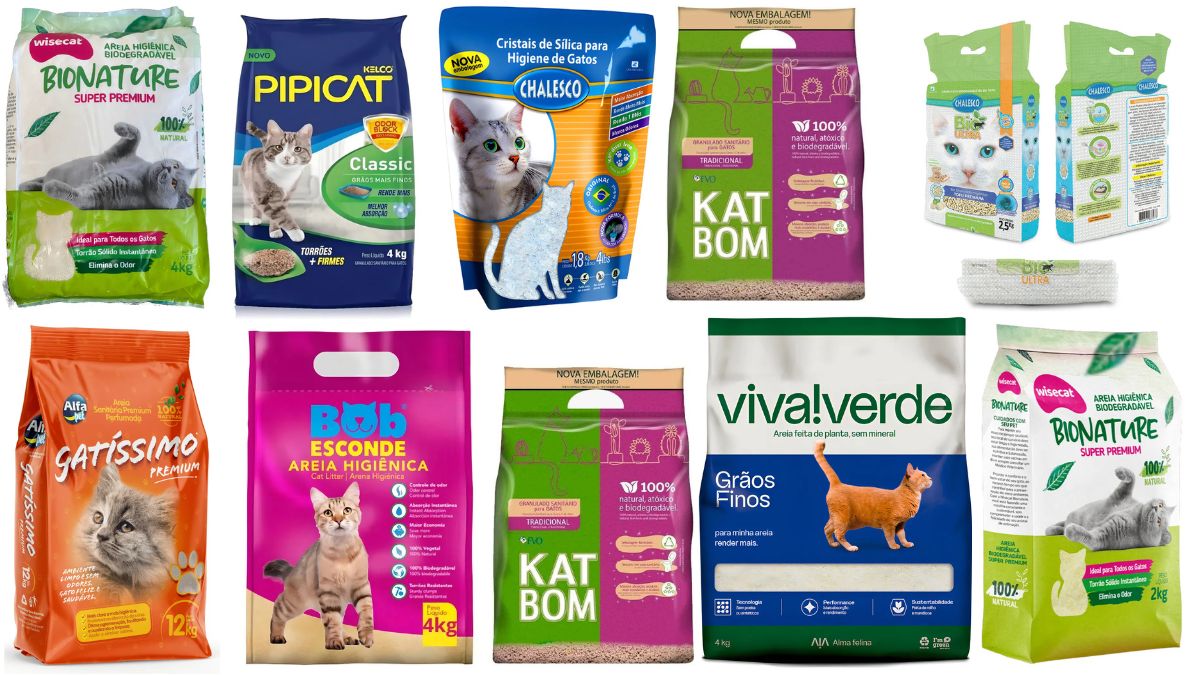 as 10 melhores areia higiênica para gatos