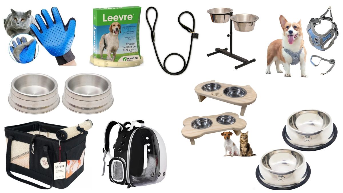 10 acessórios úteis para cães