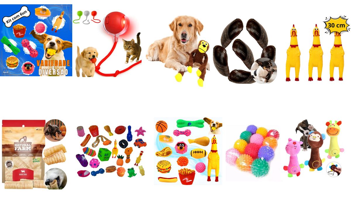 10 melhores brinquedos para pets