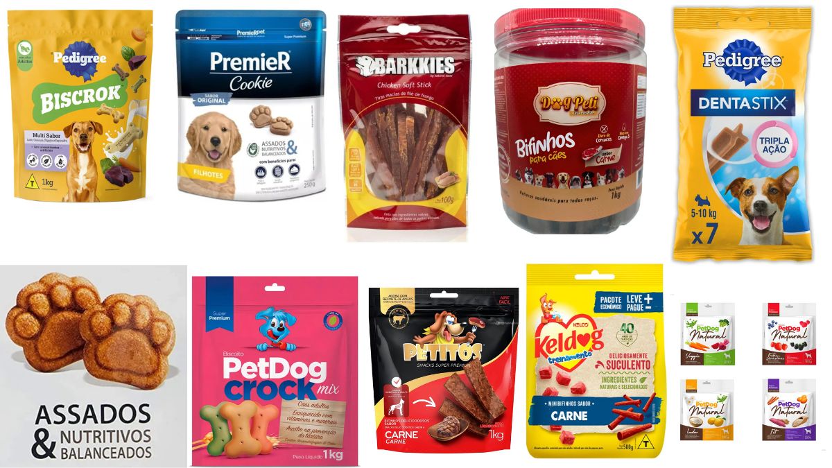 10 melhores petiscos para cães